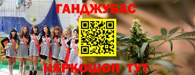 молекула духа Жуковский
