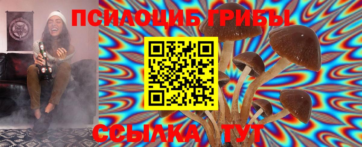Шумерля  Псилоцибиновые грибы Cubensis  Вход с VPN 