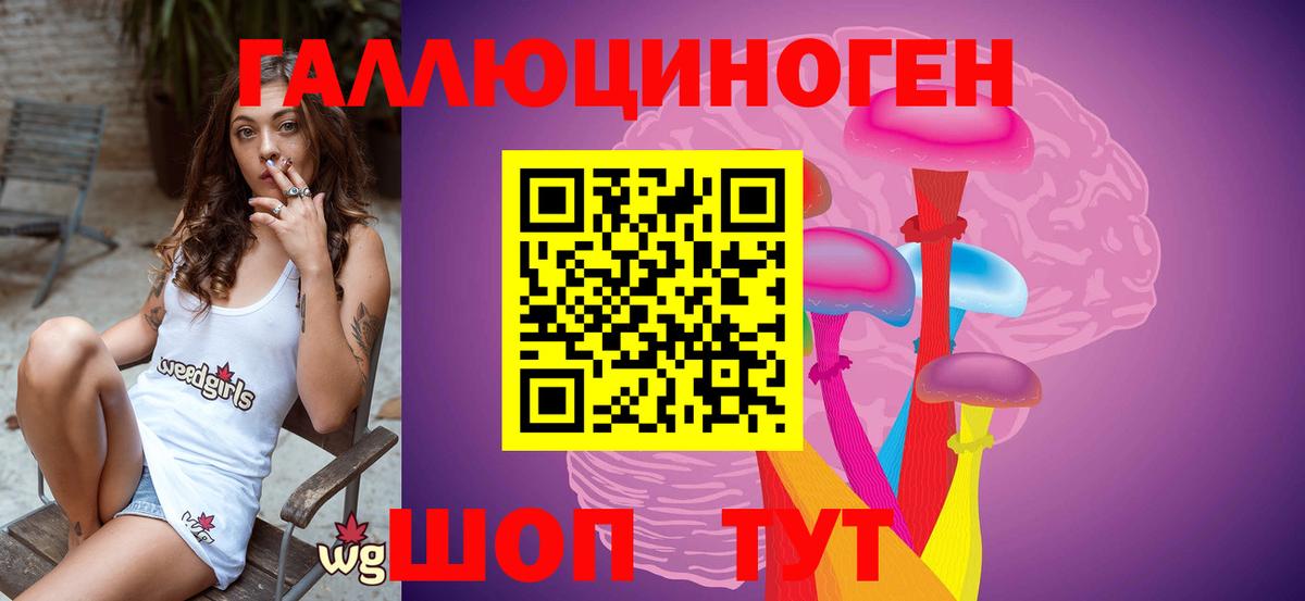 как найти наркотики  Псилоцибиновые грибы мицелий  Шумерля  Галлюциногенные грибы Psilocybe 