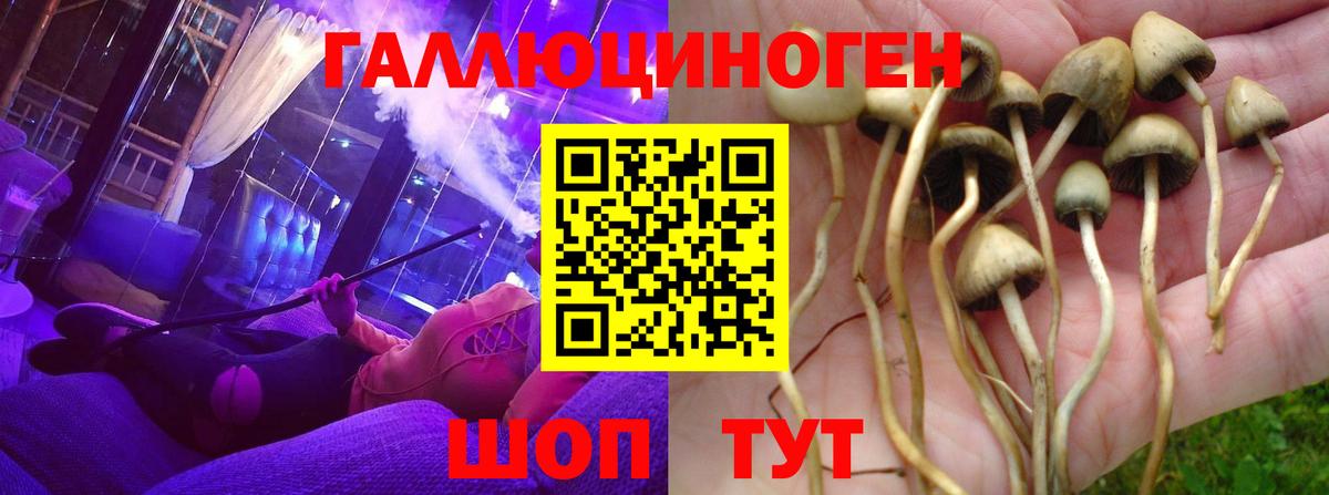 Псилоцибиновые грибы мухоморы Шумерля